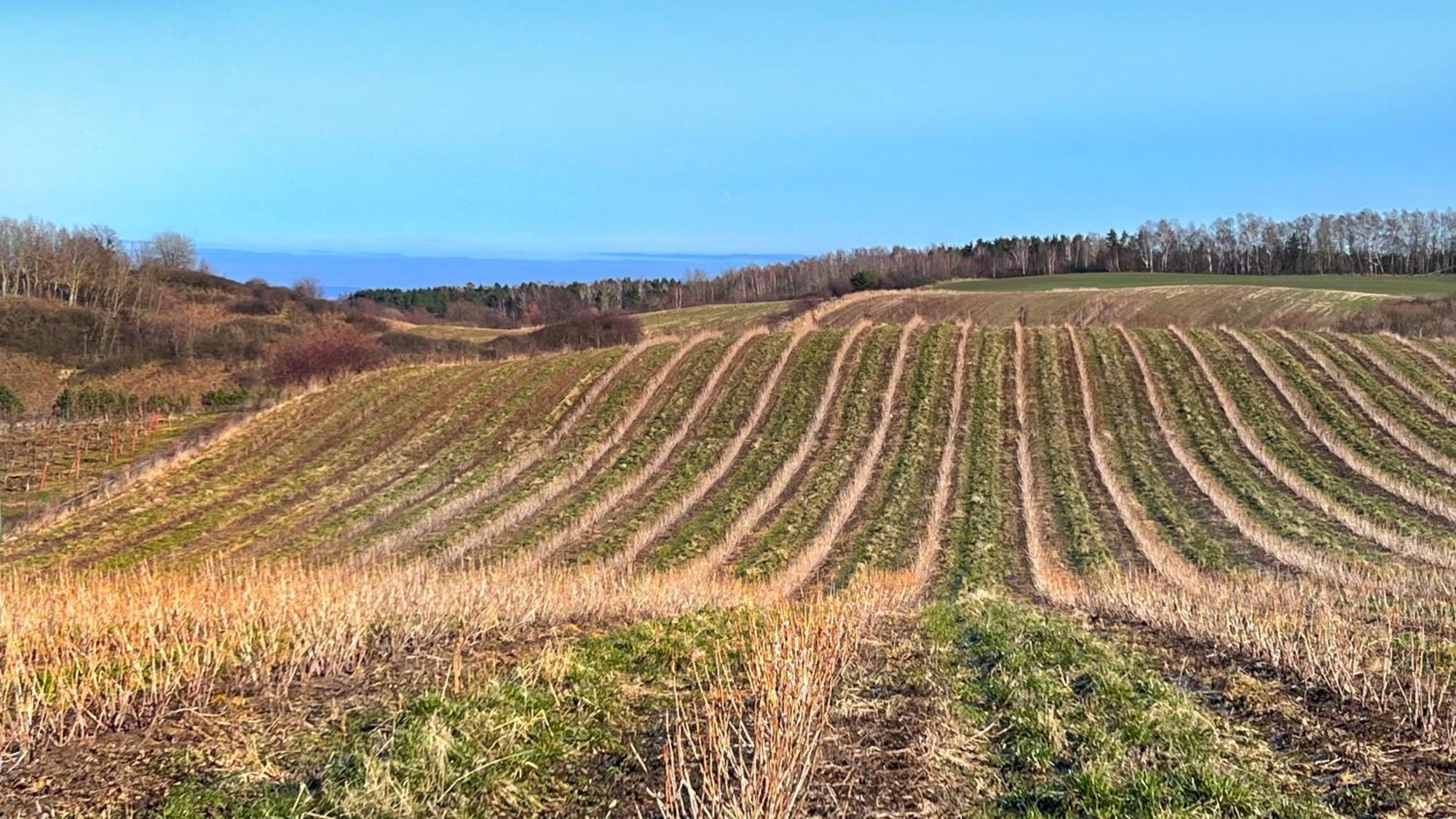 Osada Nad Zalewem Villa Tolkmicko Luaran gambar